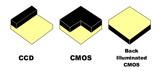 Fig 3 15 Back Illuminated 2