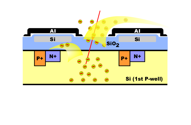 Fig 3 5 Blooming Smear