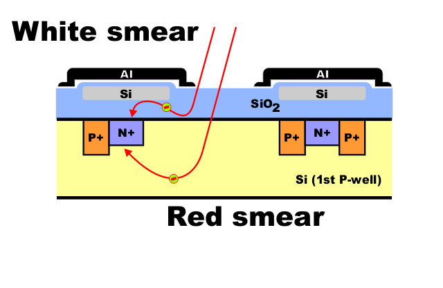 Fig 3 6 White smear Red smear