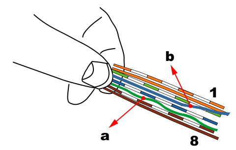 RJ45 straighten crisscross