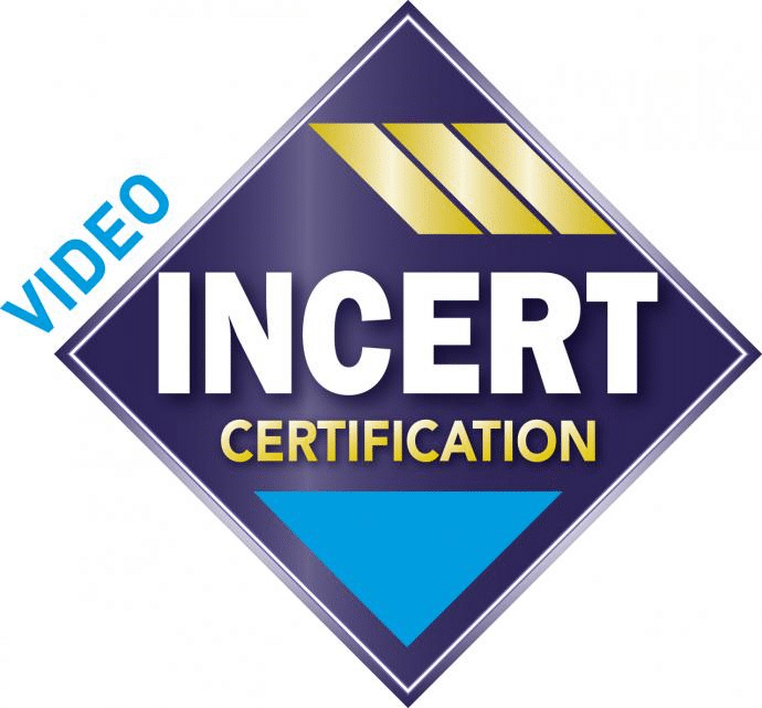 logo incertvideo