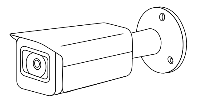 Fig 234b Buiscamera